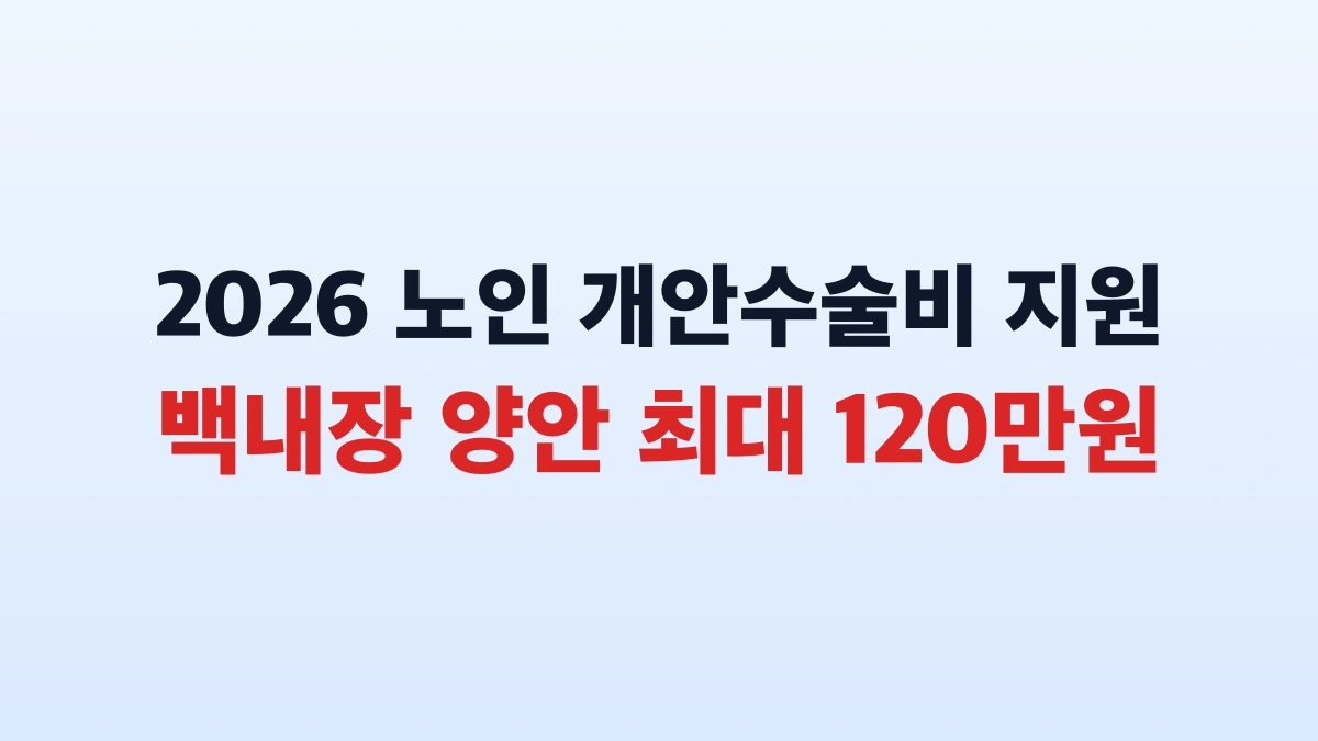 2026 노인 개안수술비 양안 120만원 신청방법 대상 총정리
