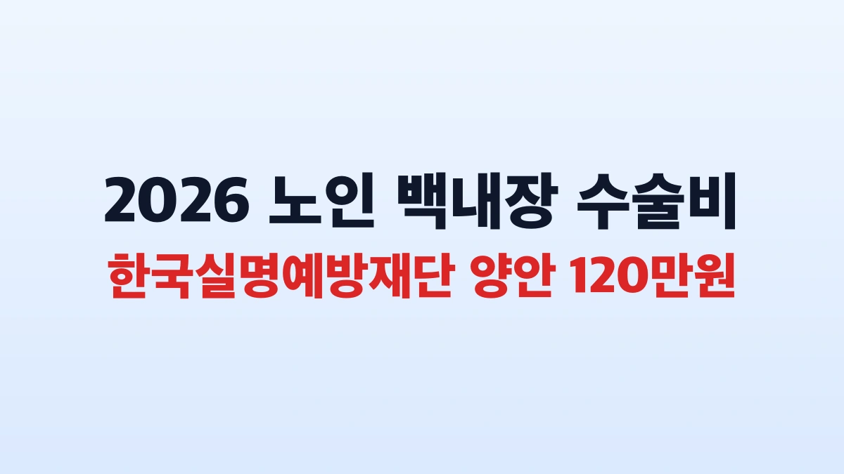 실명예방재단 노인 백내장 수술비 120만원 총정리 120만원